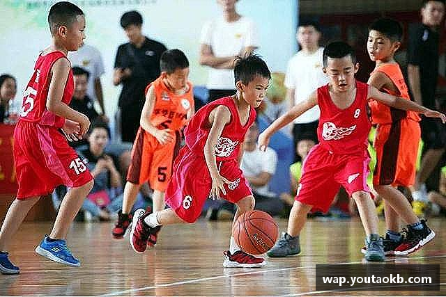 介绍XK星空体育